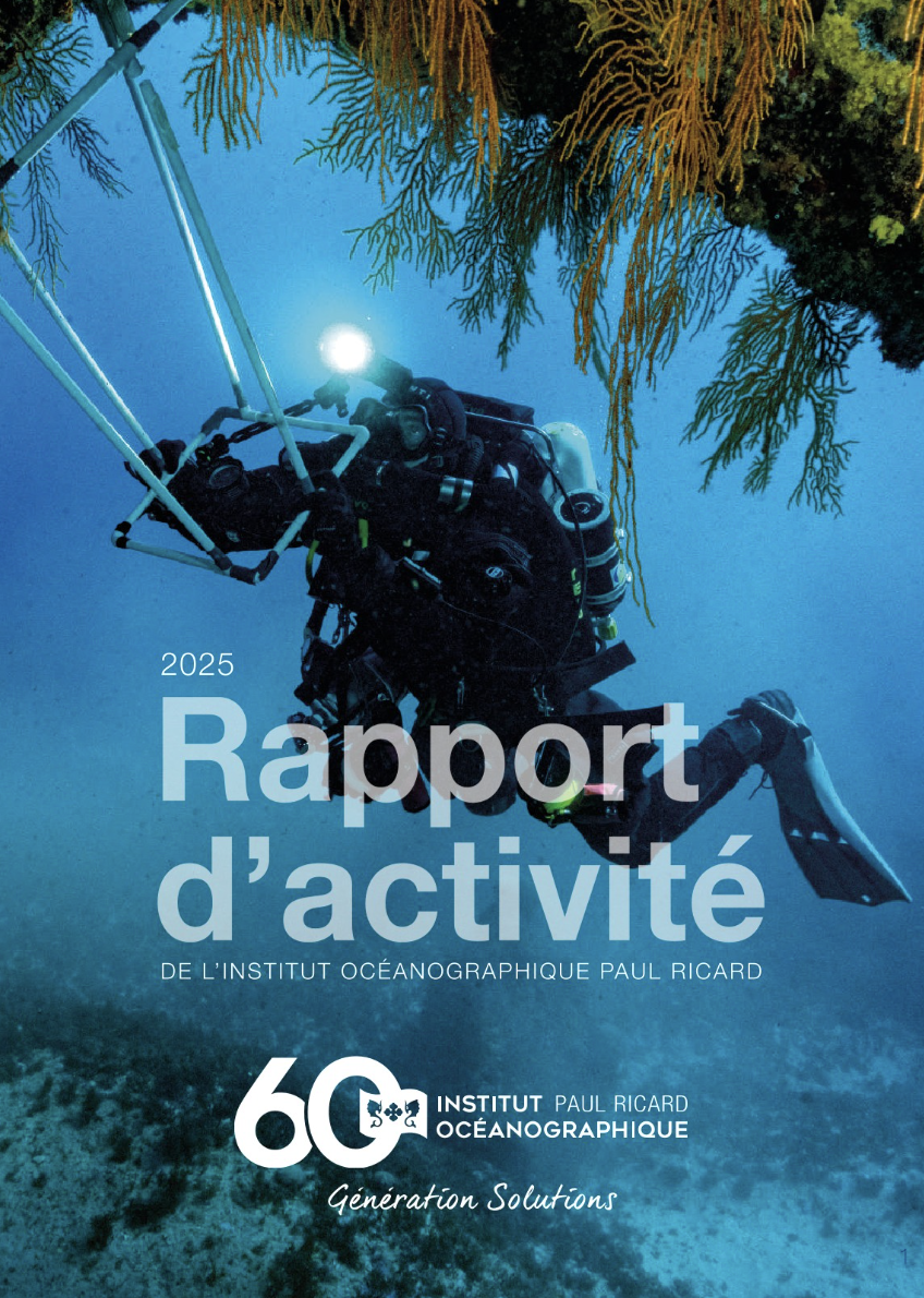 Rapport annuel 2025 : une année d’engagement pour l’Océan
